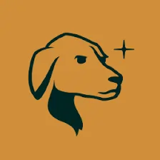 Taho Wallet logo