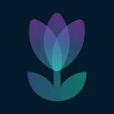 Tulip logo